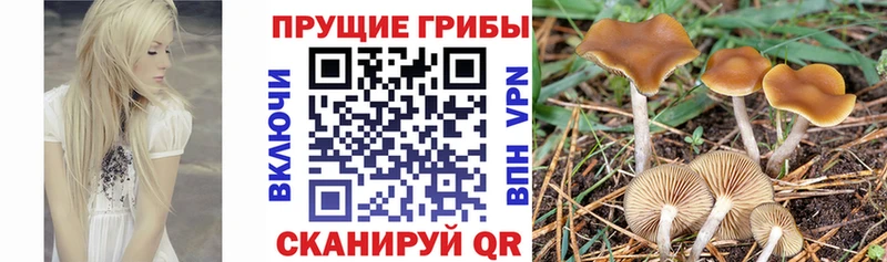 наркотики  Кяхта  Галлюциногенные грибы мухоморы 